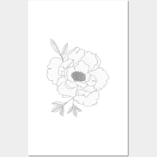 Peony Pattern - Flower Line Art Posters and Art